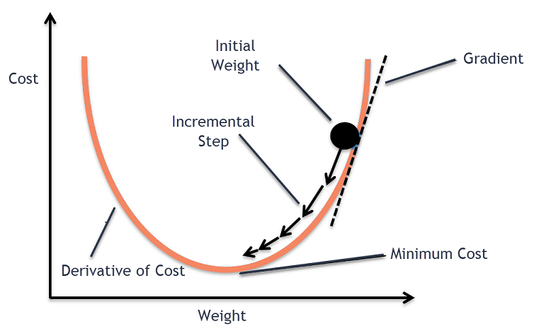 Gradient Descent Neural Network