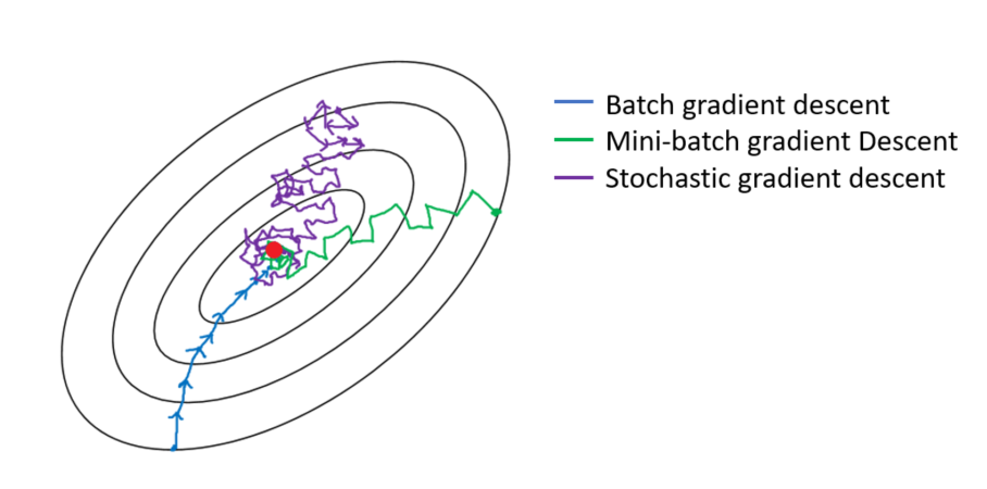 Gradient Descent Neural Network Performance