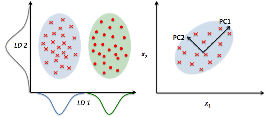 type of Machine Learning Algorithms - PCA